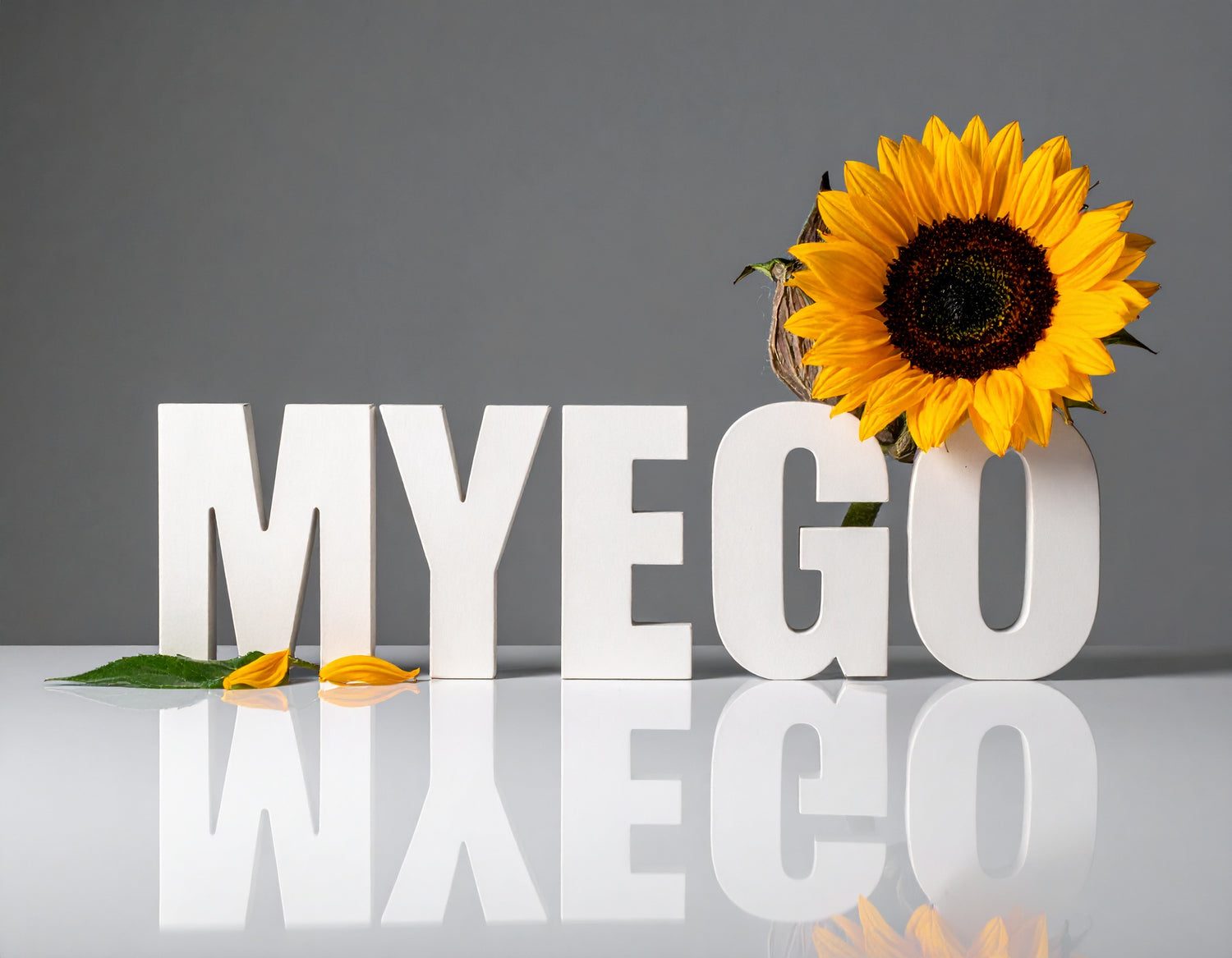 MyEGO