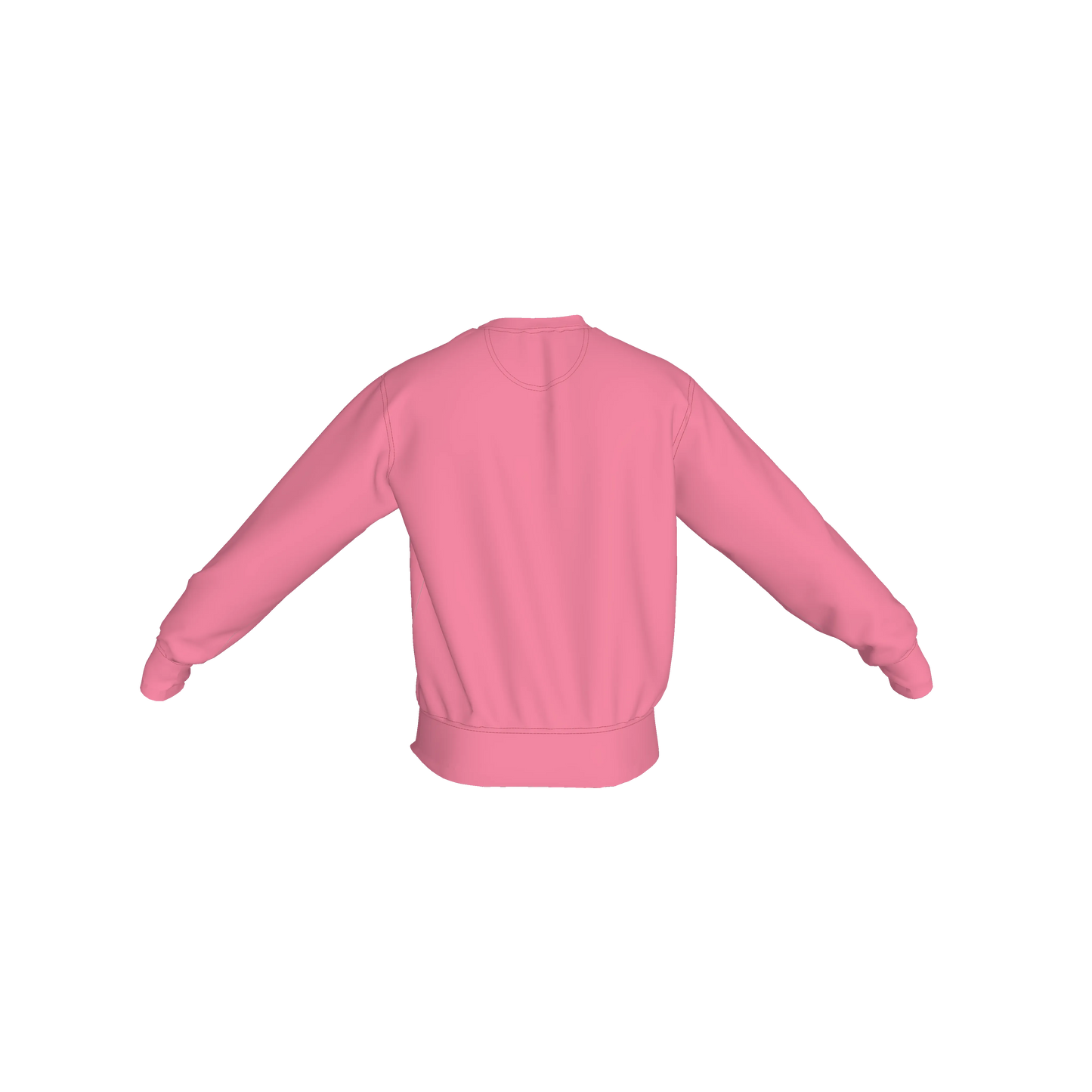 Crew Neck Sweatshirt with Inset V – "REBEL" Graphic