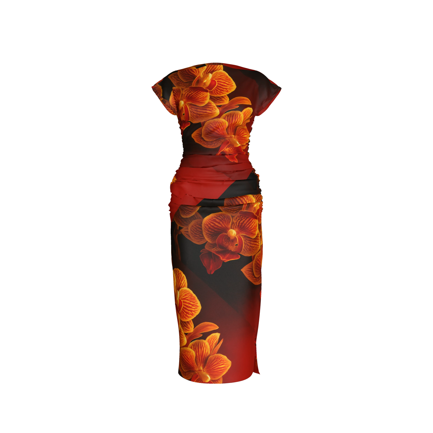 Sunset Orchid