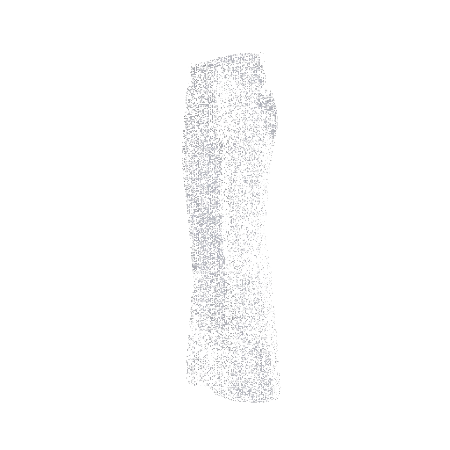 Classic Dark Bell Bottom Pant